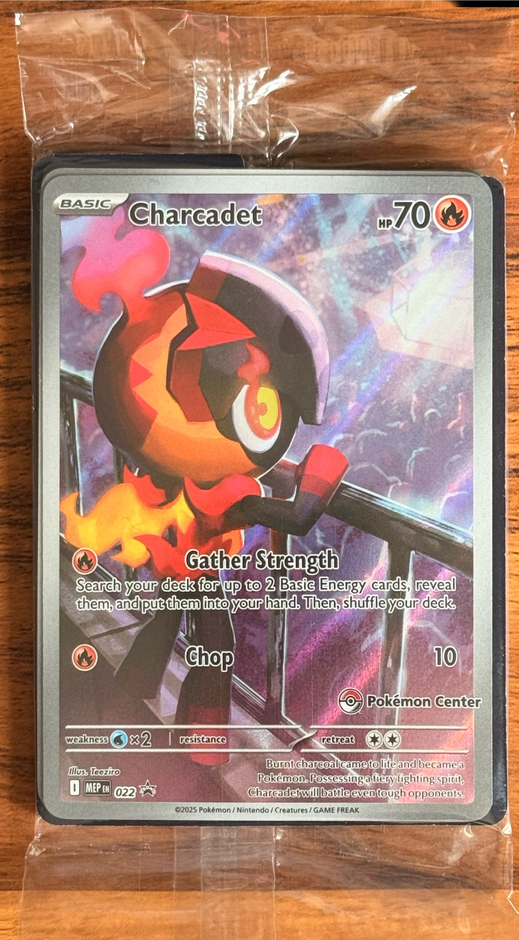 Charcadet 22 PC Stamped Promo Bundle