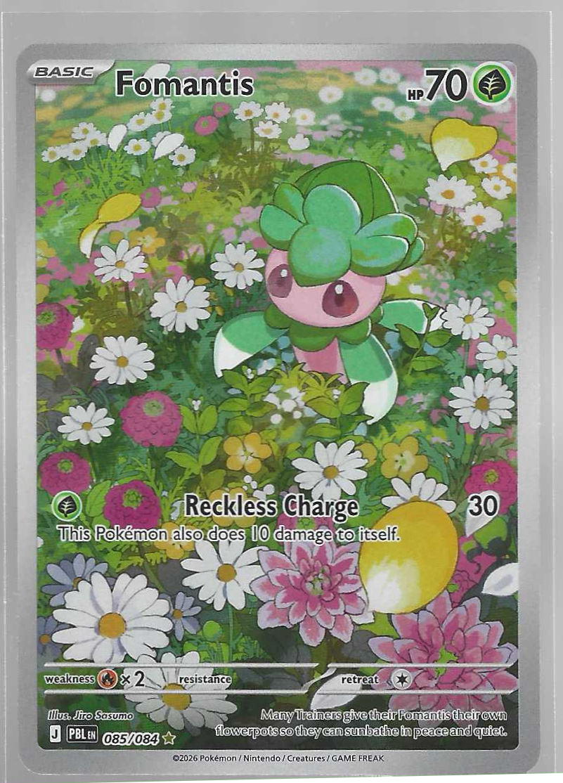 Fomantis 85/84