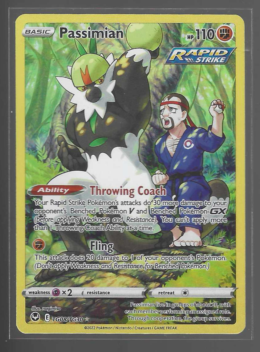 Passimian TG08/TG30