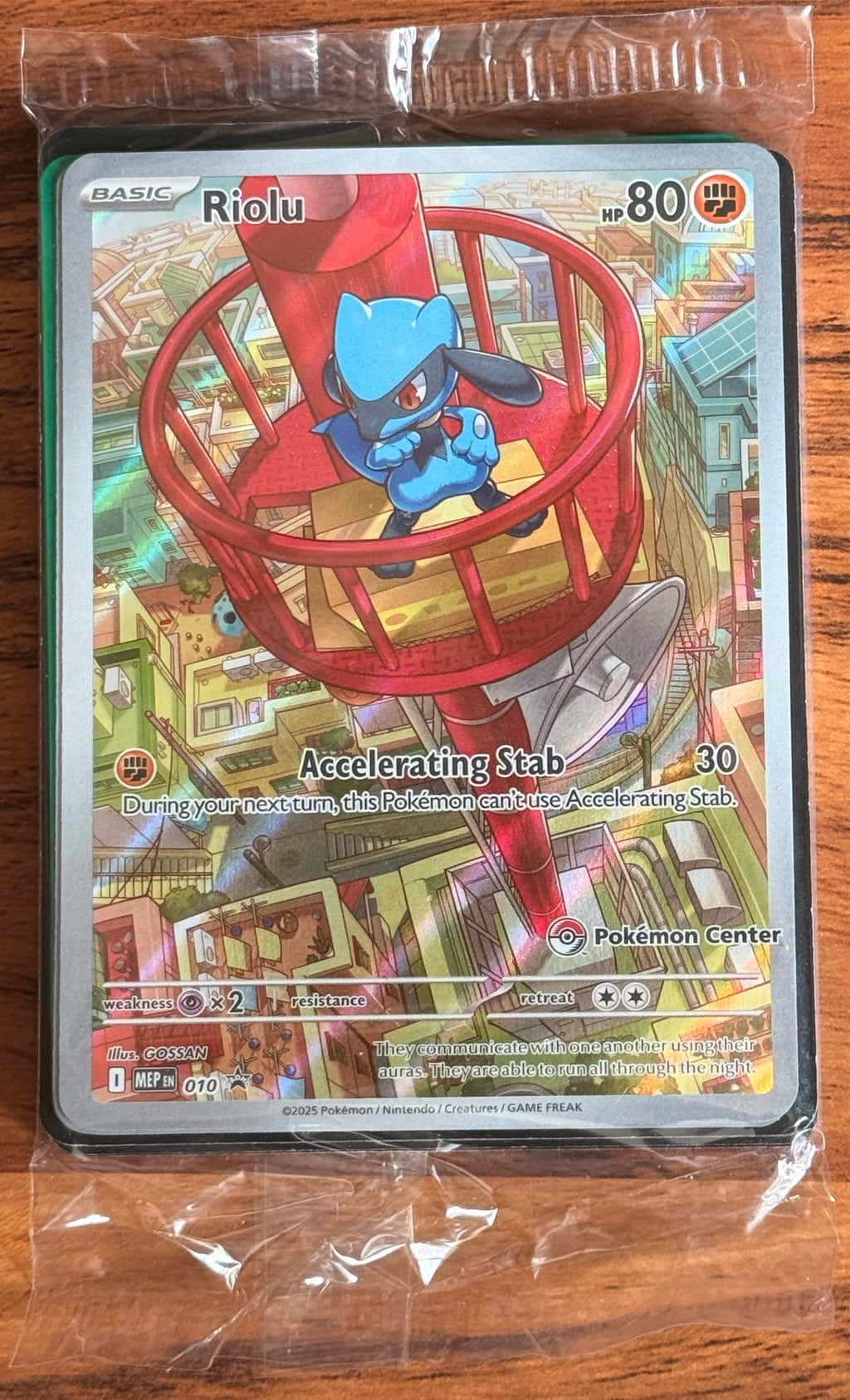 Riolu 10 PC Stamped PROMO Bundle