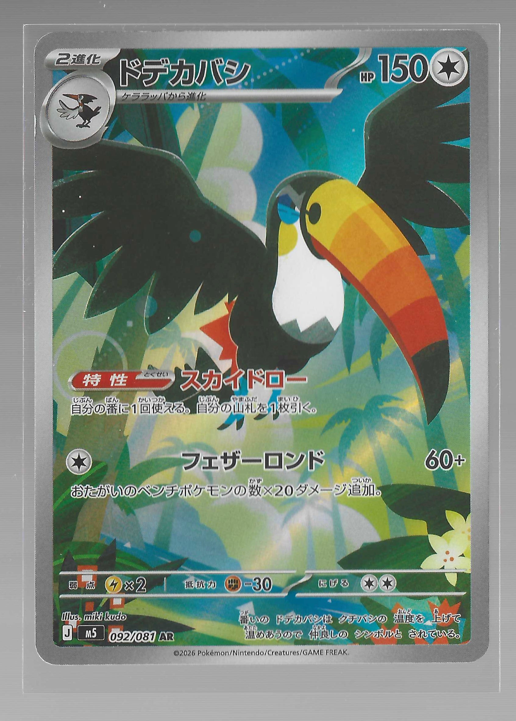 JPN - Toucannon 92/81