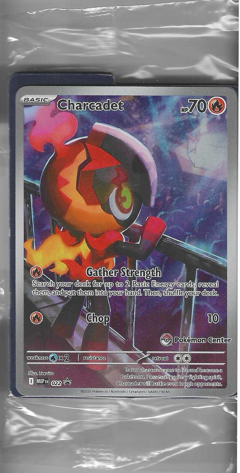 Charcadet 22 PC Stamped Promo Bundle